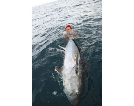 Spain Bluefintuna