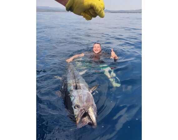 Spain Bluefintuna