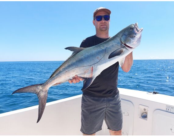 Spain Bluefintuna