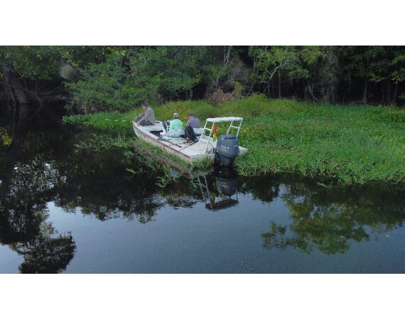 Arapaima Bolivia aug 2026
