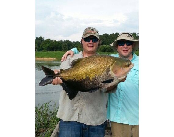 Arapaima Bolivia aug 2026