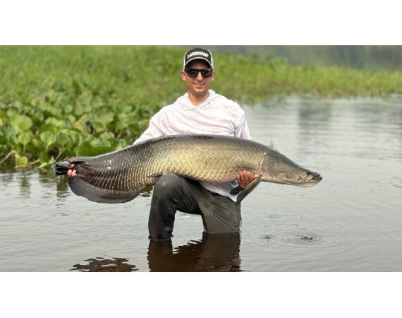 Arapaima Bolivia aug 2026