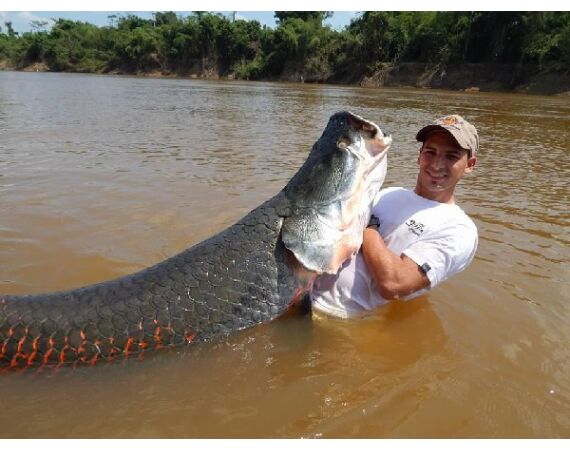 Arapaima Bolivia aug 2026