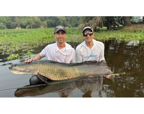 Arapaima Bolivia aug 2026