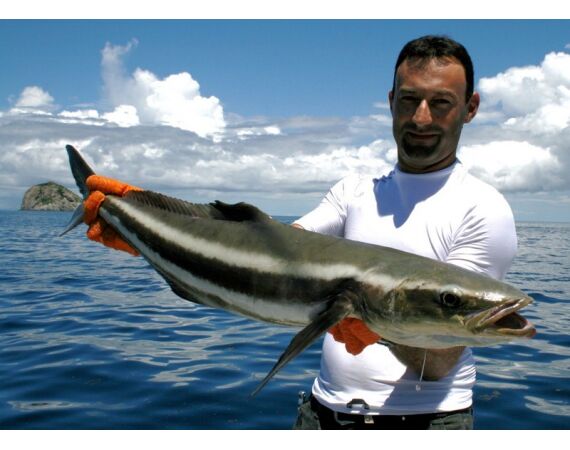 Madagascar Live aboard