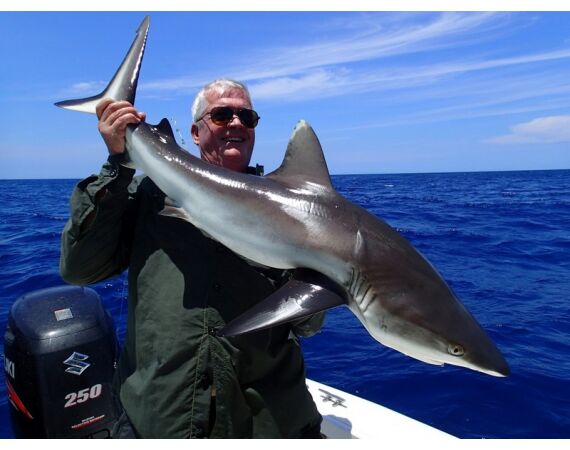 Madagascar Live aboard