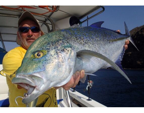 Madagascar Live aboard