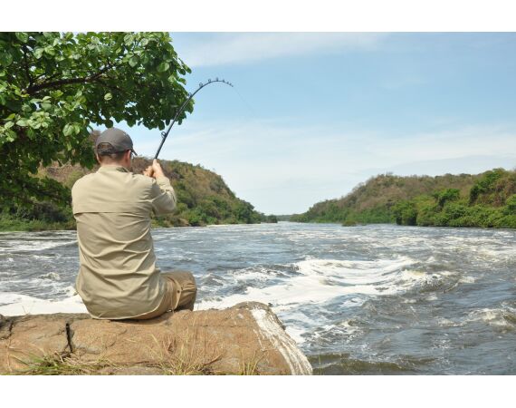 Uganda Nileperch
