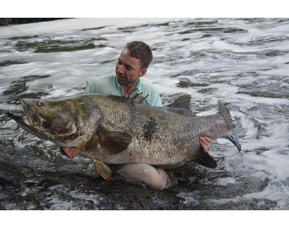 Uganda Nileperch