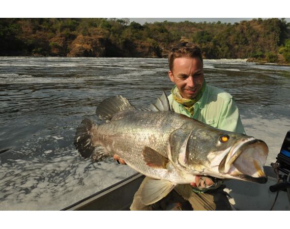 Uganda Nileperch