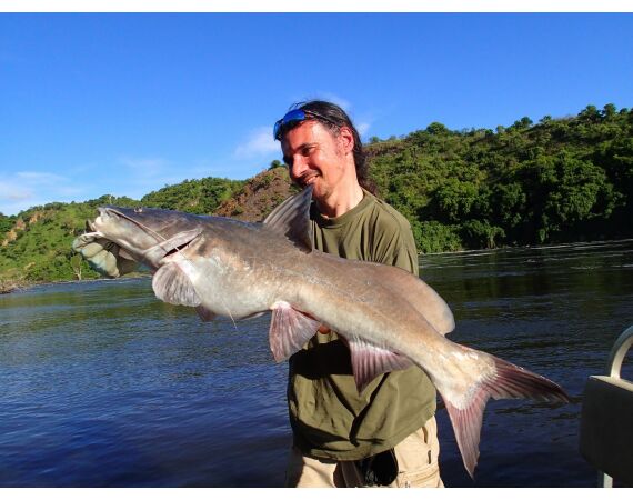 Uganda Nileperch