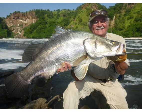 Uganda Nileperch