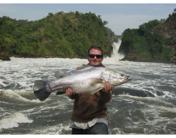 Uganda Nileperch