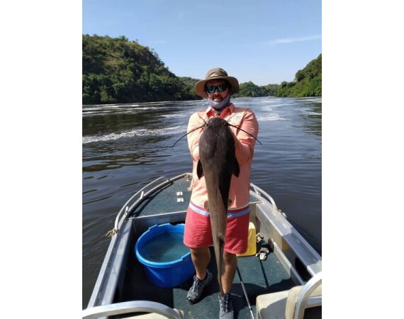Uganda Nileperch