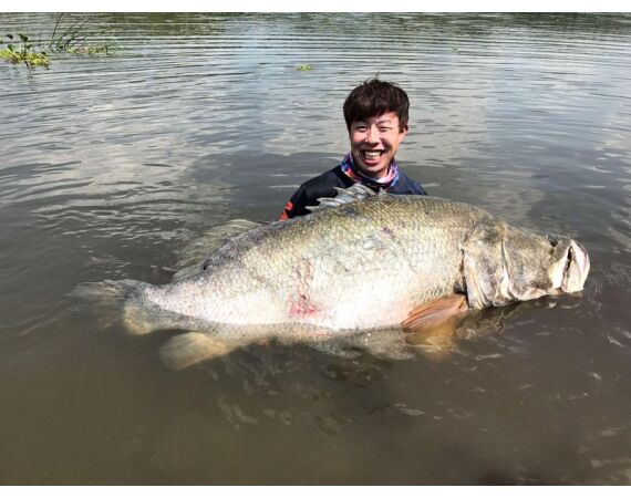 Uganda Nileperch