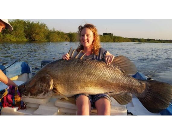 Uganda Nileperch