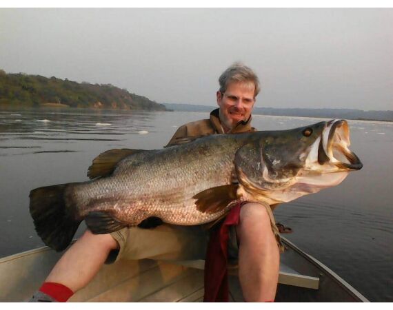 Uganda Nileperch