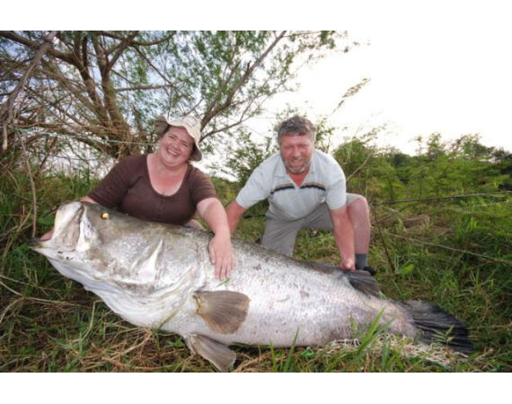 Uganda Nileperch