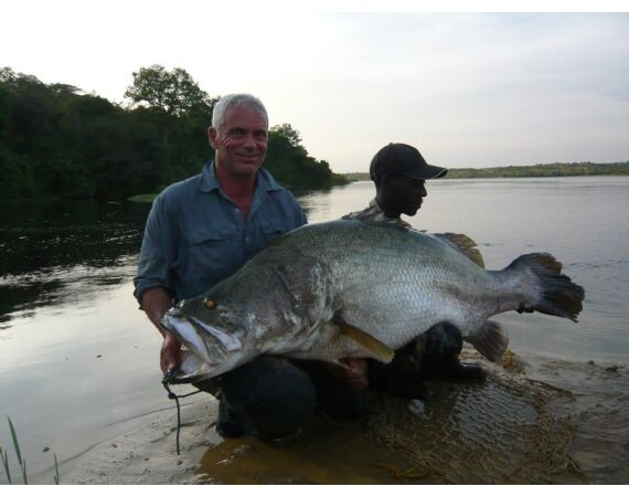 Uganda Nileperch