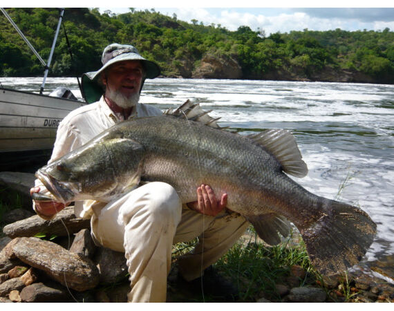 Uganda Nileperch