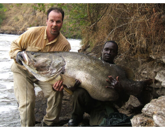 Uganda Nileperch