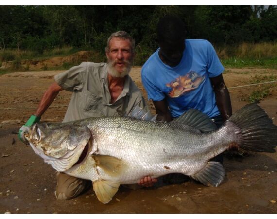 Uganda Nileperch