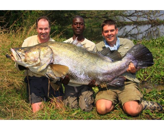 Uganda Nileperch