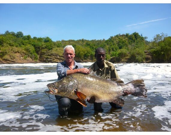 Uganda Nileperch