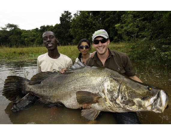 Uganda Nileperch
