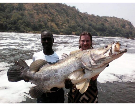 Uganda Nileperch