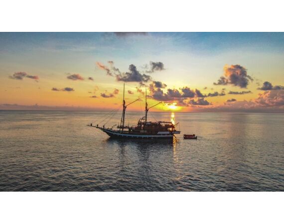 Indonesia Live aboard