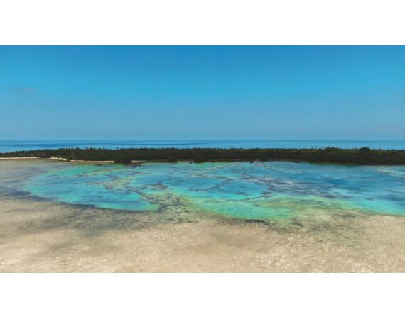 Indonesia Live aboard