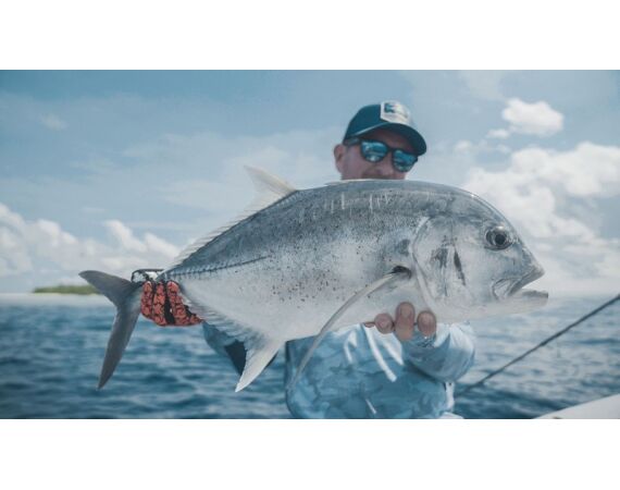 Indonesia Live aboard