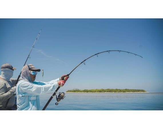 Indonesia Live aboard