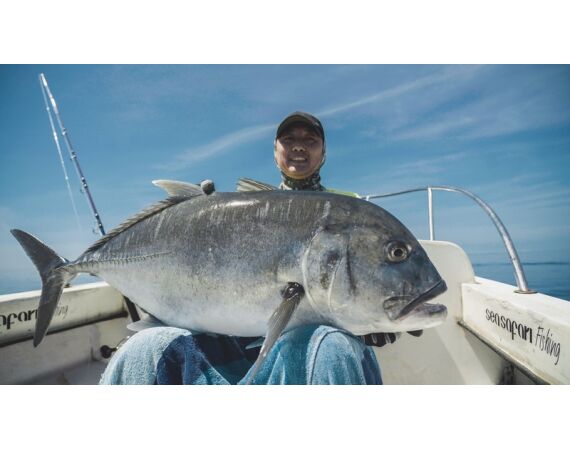 Indonesia Live aboard