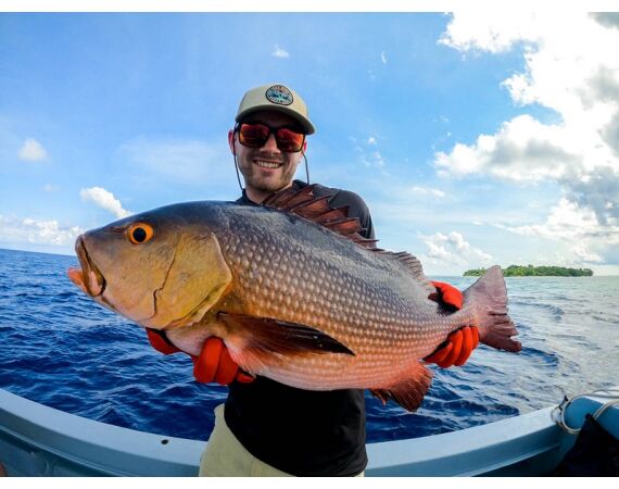 Indonesia Live aboard