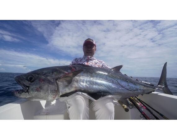 Indonesia Live aboard