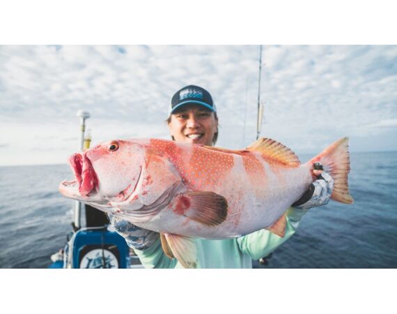 Indonesia Live aboard