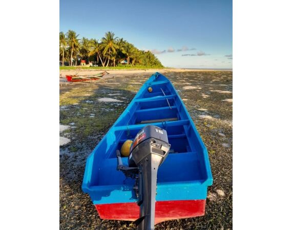 Indonesia Live aboard