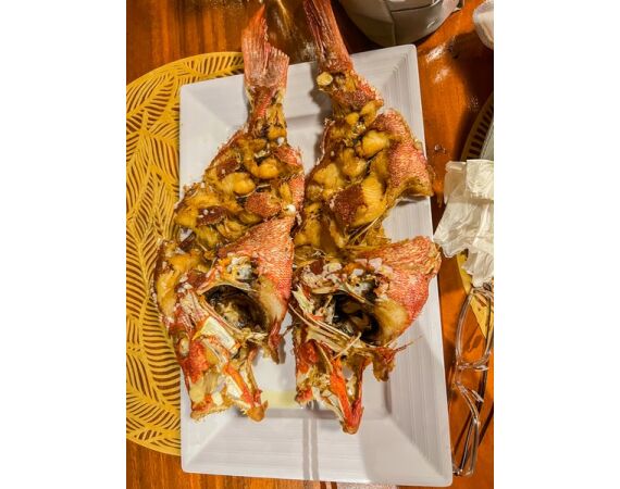 Indonesia Live aboard