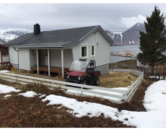 Savage Gear Skrei Festival march 2026