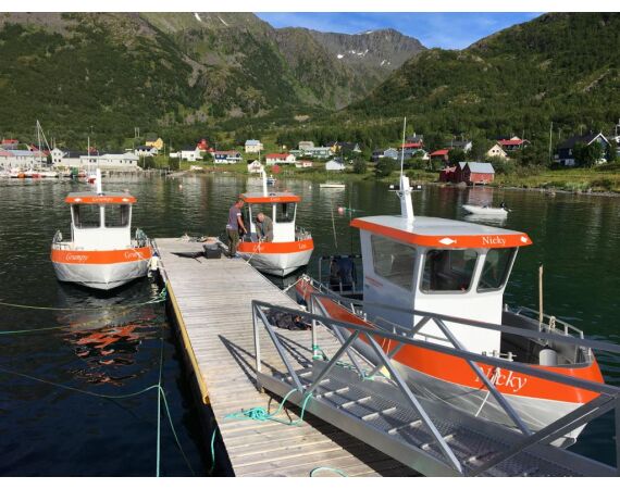 Savage Gear Skrei Festival march 2026