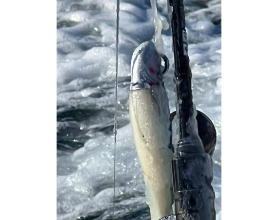 Savage Gear Skrei Festival march 2026