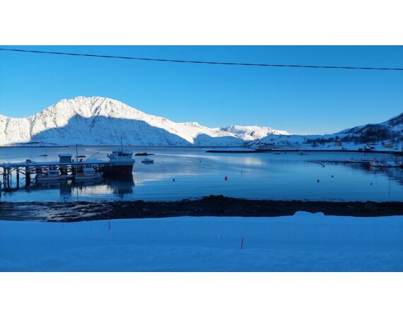 Savage Gear Skrei Festival march 2026