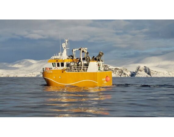 Savage Gear Skrei Festival march 2026