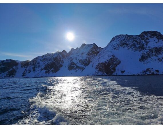 Savage Gear Skrei Festival march 2026