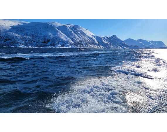 Savage Gear Skrei Festival march 2026