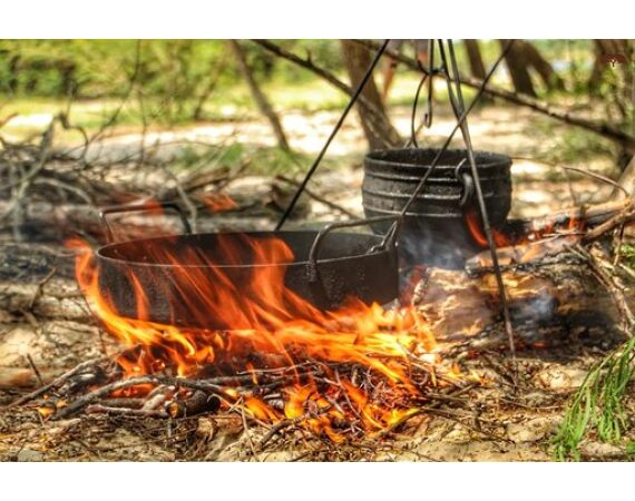 Argentina , Golden Dorado