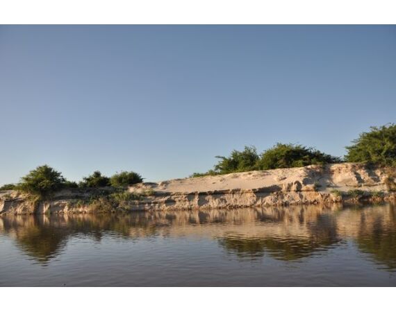 Argentina , Golden Dorado