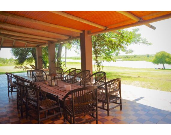 Argentina , Golden Dorado